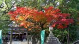 亀山城址公園