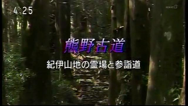 031
