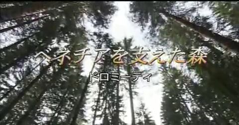 161