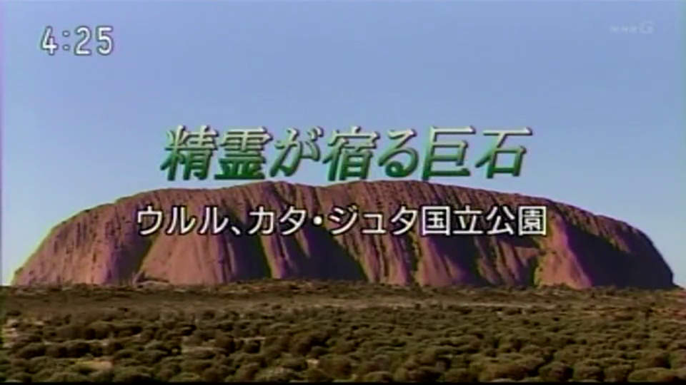 251
