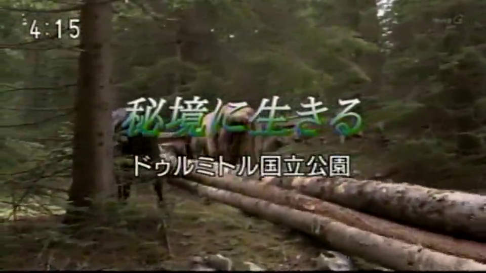 255