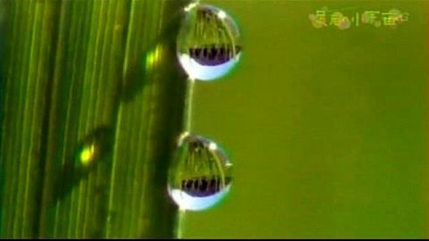 033