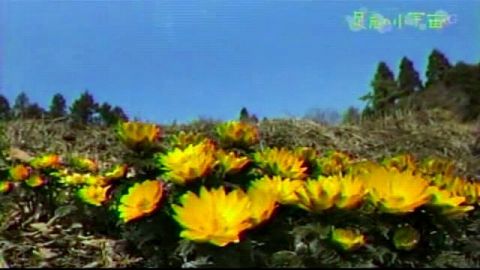 053