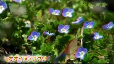 054