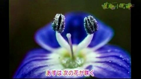 056